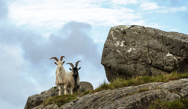 The Stunning Beara Peninsula