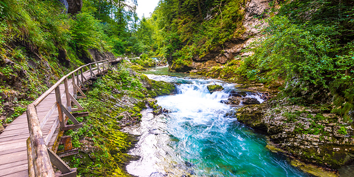 Vintgar gorge, Slovenia. River near the Bled lake with wooden tourist paths, bridges above river and waterfalls. Hiking in the Triglav national park. Fresh nature, blue water in the forest. Wild trees.