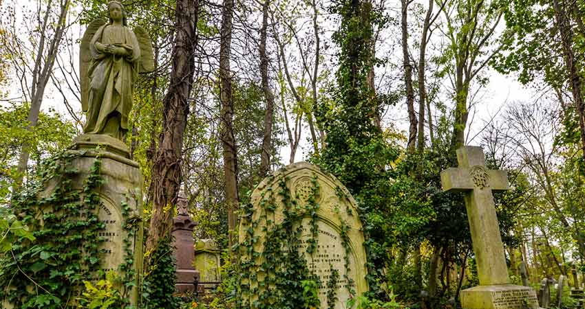 Ivy-covered gravestones and angel statue in Highgate Cemetery, London