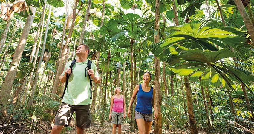 Visitors walking in the Daintree Forest