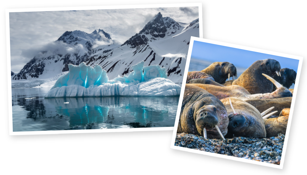 AV Cruise - Svalbard